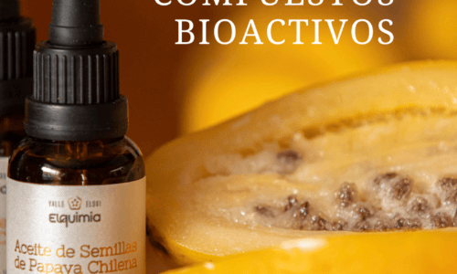 papaya chilena compuestos bioactivos