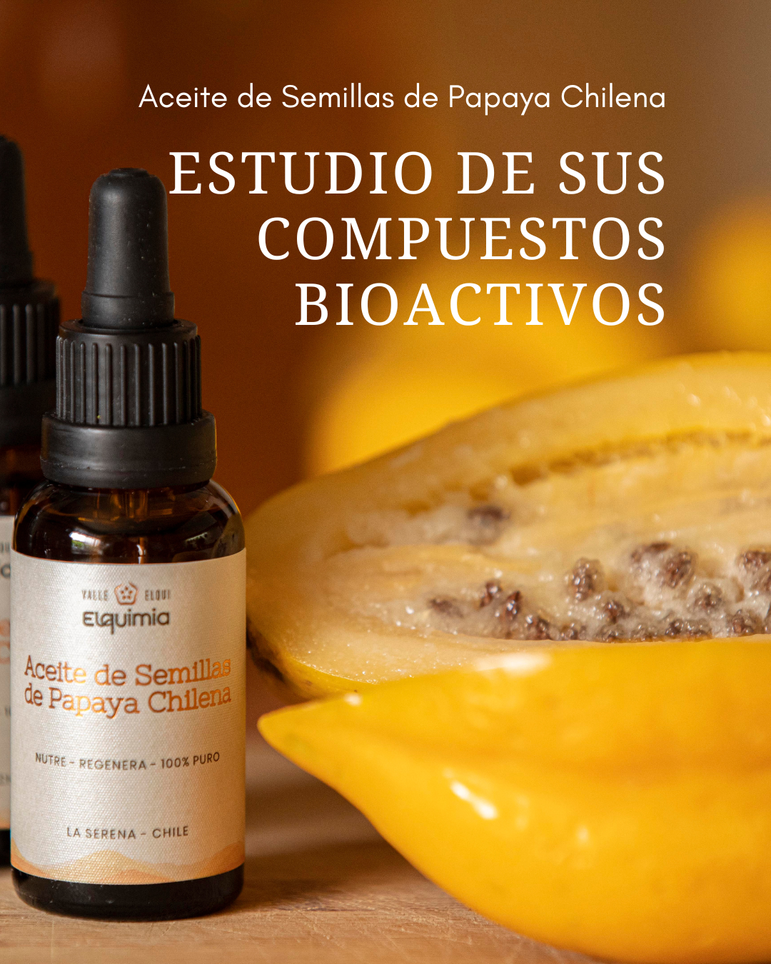 papaya chilena compuestos bioactivos