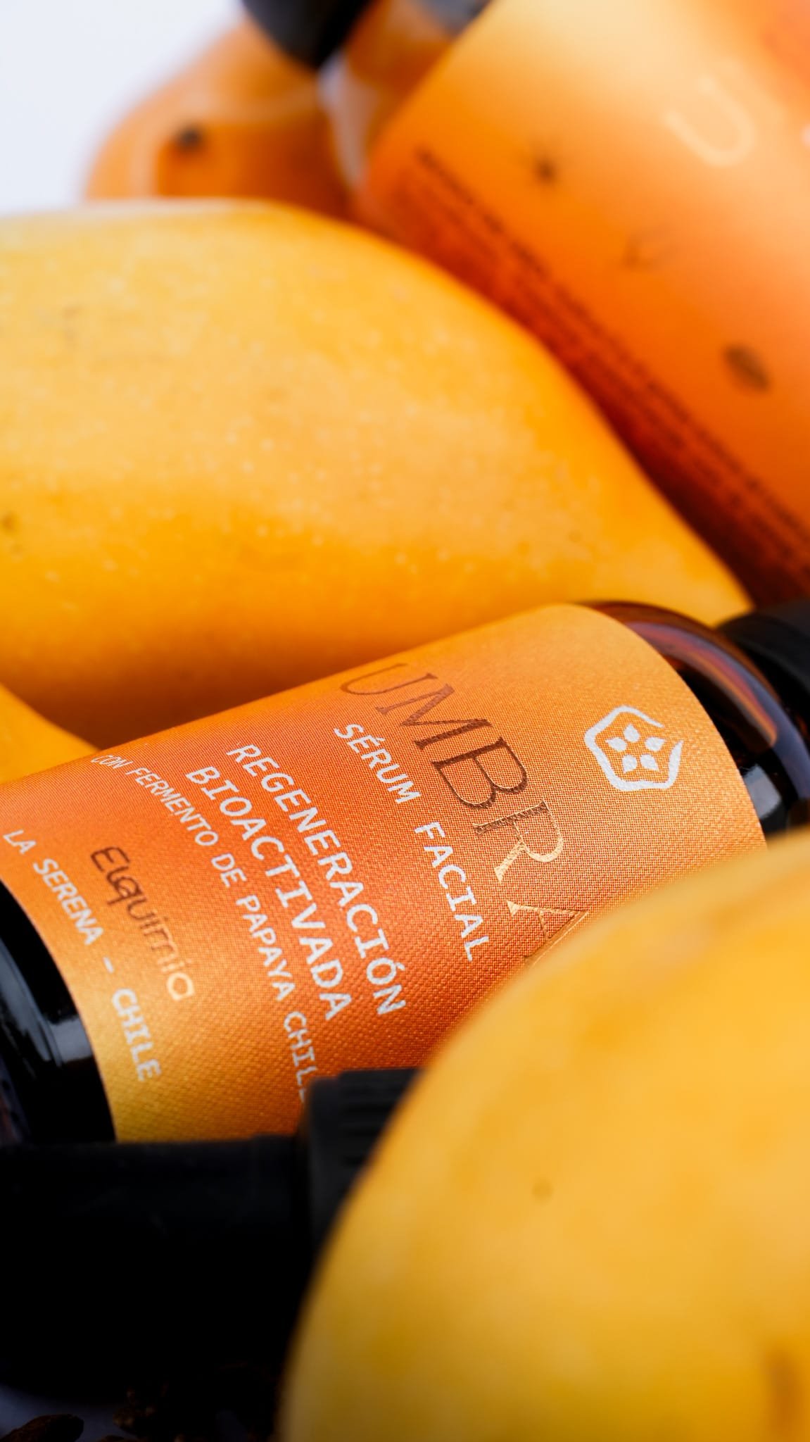 sérum con fermento de papaya chilena