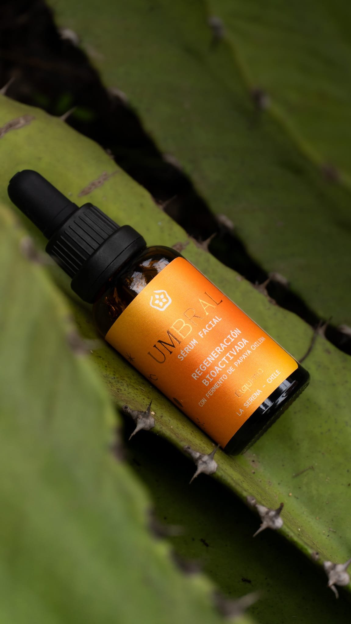 Umbral | Sérum de Regeneración Bioactivada con Fermento de Papaya Chilena - Imagen 2